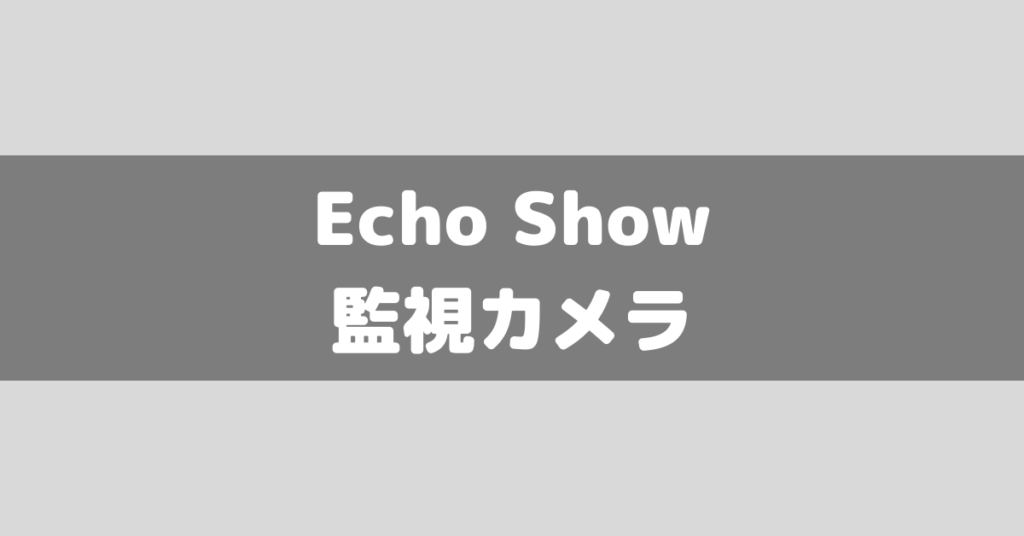 echo-surveillance-camera-